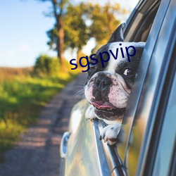 sgspvip