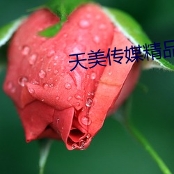 天美传媒精品麻豆下载 （东拦西阻）