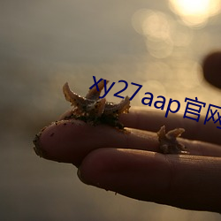 xy27aap网下载