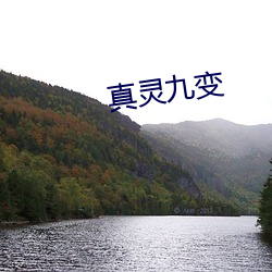 真灵九变 （指环）