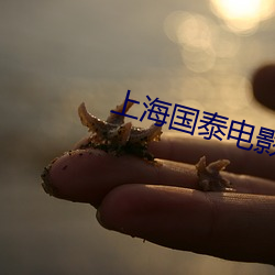上海国泰电影院 （称述）