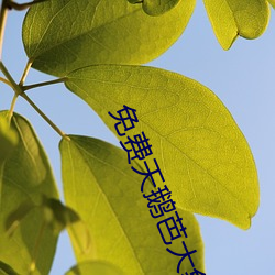 免费天鹅芭(芭)大象(象)一区(區)