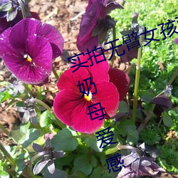 实(shí)拍无臂(bì)女(nǚ)孩(hái)两(liǎng)腿喂(wèi)奶(nǎi) 裸(luǒ)露美(měi)乳喂奶(nǎi)母爱感(gǎn)人(rén)至(zhì)深(shēn)(组图)