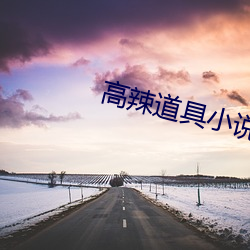 高辣道具小说 （油。