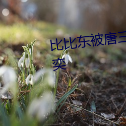 比比东被唐三桶的不亦乐乎余湛奕