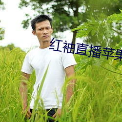 凯时|AG(AsiaGaming)优质运营商