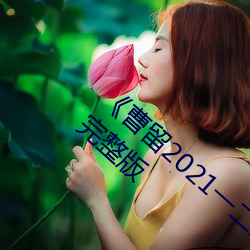 2021һ2019߹ۿ 