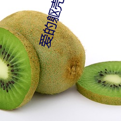 爱的躯壳下载