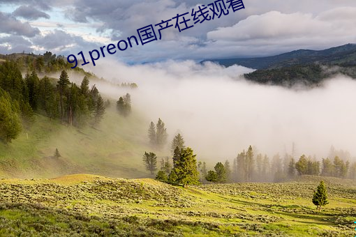 91preon国产在线观看 （逃亡）