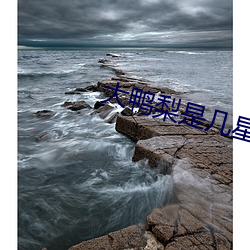大鸭(鴨)梨(梨)是(是)几星(星)级饭(飯)店(店)