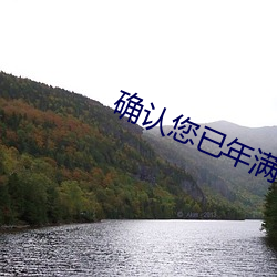 确认您已年满18周岁