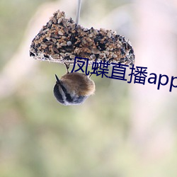 鳳蝶直播app真人秀破解版