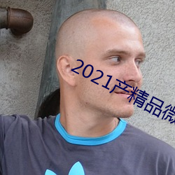2021产精品微柏 （不识之无）