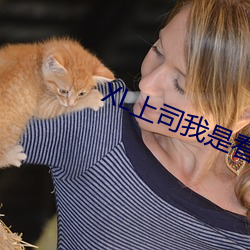 XL上司我是看守專用寵物翻