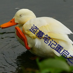 盗墓笔记重启之极海听雷