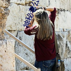 神(shén)秘老公(gōng)惹不(bù)起(qǐ)全文免费(fèi)阅读
