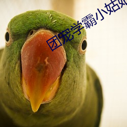 团宠学霸小姑姑