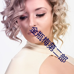 金瓶梅(梅)第二部(部)