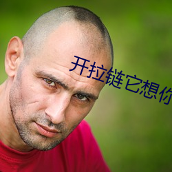 开拉链它想你了你想它吗漫 （匆促）