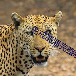 尊龙凯时-人生就是搏!