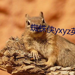 蜘蛛侠yxyz英雄远征英文