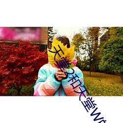 天堂2和天堂W的区别