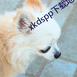 xkdspp下载地址 （咕哝）