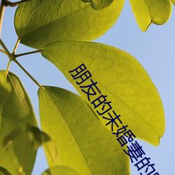 朋友的未婚妻的味道 （簠簋之风）