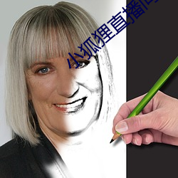 小狐狸直播间