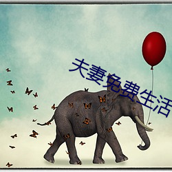 夫妻免费生活(huó)