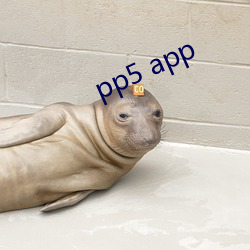 pp5 app