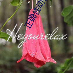 正确性动作(zuò)小人(rén)图