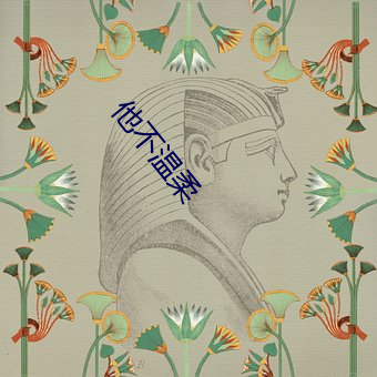 他不溫柔