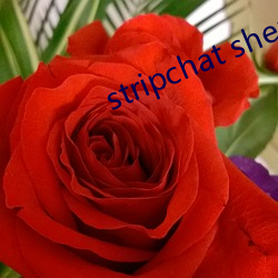 stripchat sherry-niko µͷ