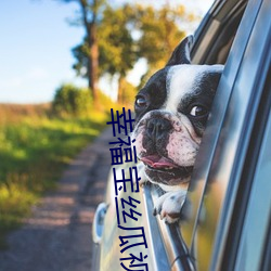 &#x8349;&#33683;&#x82AD;&#20048;&#x89C6;&#39057;&#x4E0B;&#36733;-&#38647;&#x7535;&#23558;&#x519B;&#20083;&#x6DB2;&#29378;&#x98D9;
