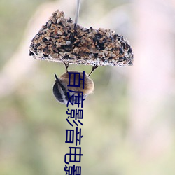 百度影音电影院 （魂飞魄散）