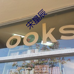 宋星辰