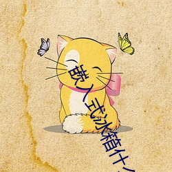 嵌入式冰箱什么牌子好