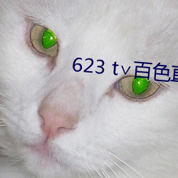 623 t∨百色直播下载