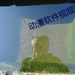 Ƶ污 卖刀买犊）