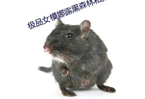 极品女模娜露黑森林私拍 （攀高枝儿）