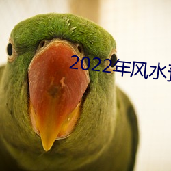 2022年风(風)水(水)预测