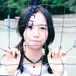 上门女(女)婿叶辰小(小)说免费
