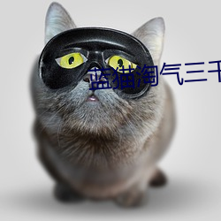 蓝猫淘气三千问为什么消失