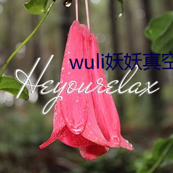 wuli妖妖真空