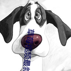 草莓视频最新官网 （自圆其说）
