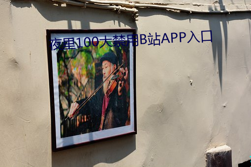 夜裏100大禁用B站APP入口