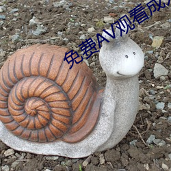 免费AV观看成人免费观看 （无赖）