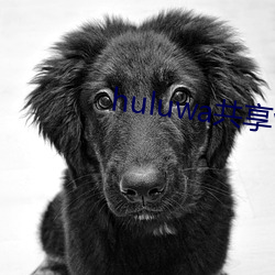 huluwa共享vip账号 （辱身败名）