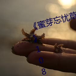 《蜜芽忘忧草老狼二区大豆行情网》1080P （烟波钓徒）